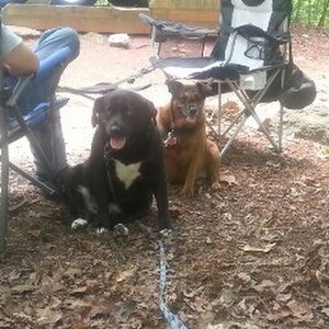 Meet your Posher, Christa